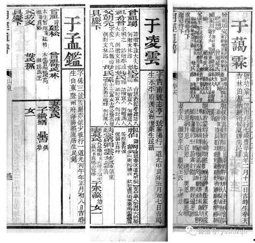 吃瓜娱乐社的个人展示页,带你走进娱乐圈幕后故事